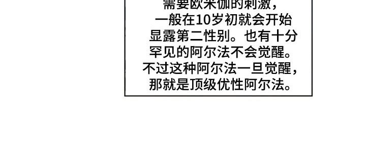 第5章：王国