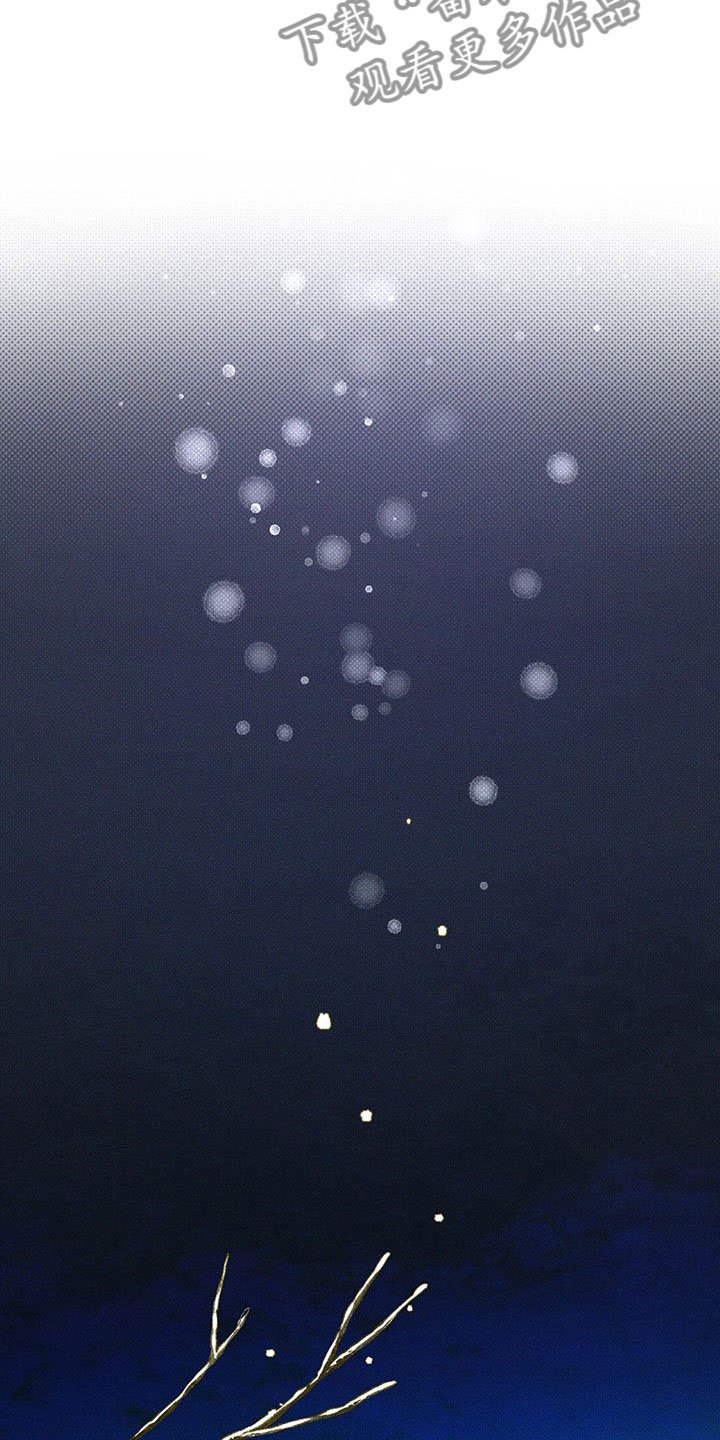 第5章：王国