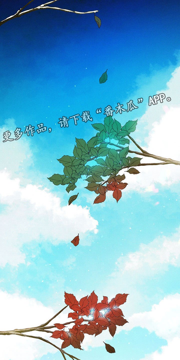 第5章：王国