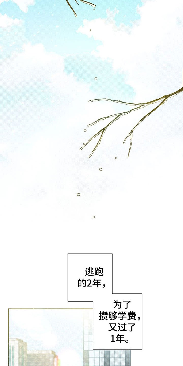 第5章：王国