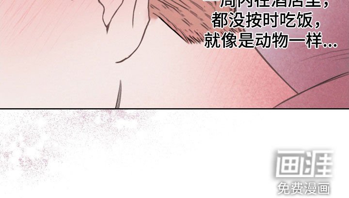 第70章：【第二季】金邢的欧米伽