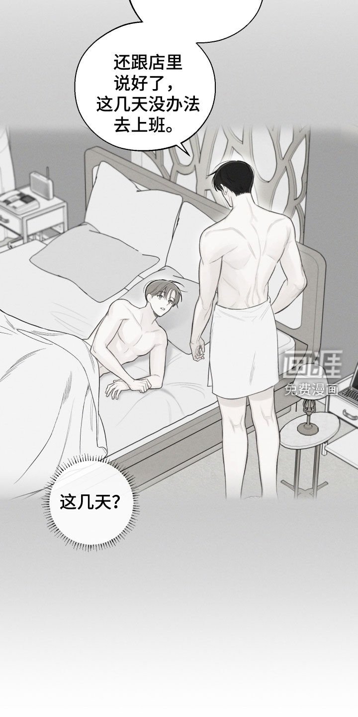 第70章：【第二季】金邢的欧米伽