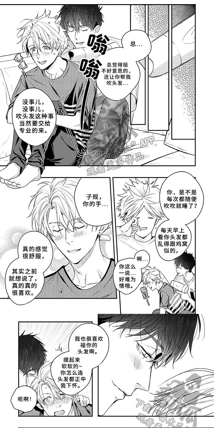 第14章：看法