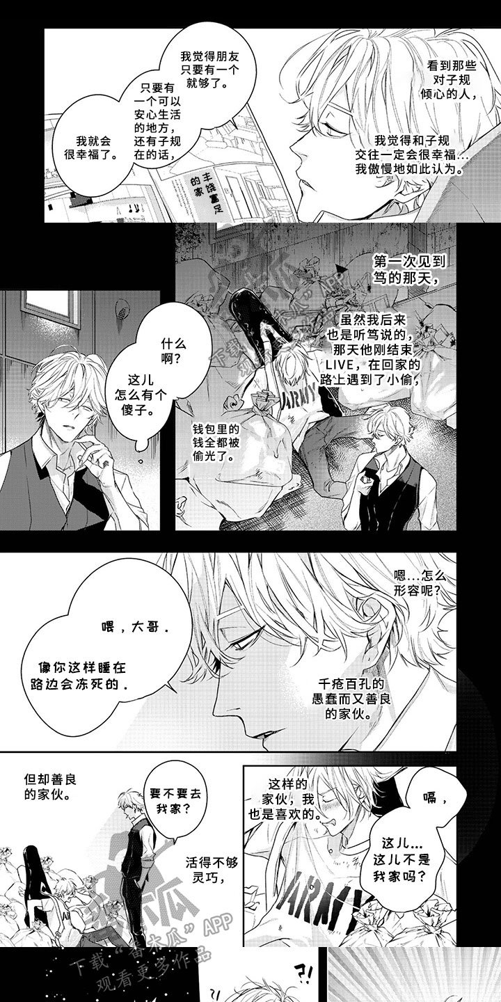 第17章：决定