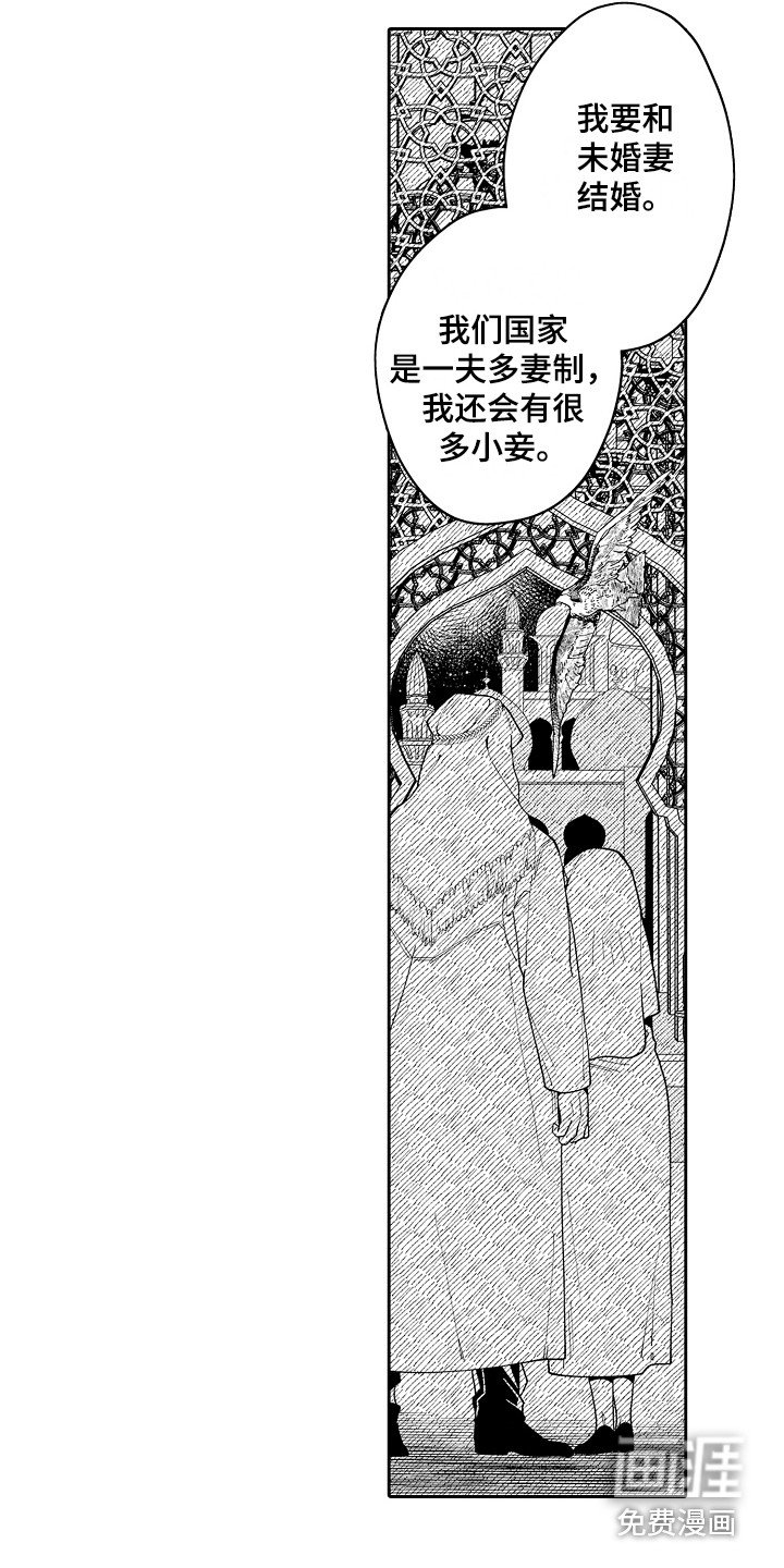 第11章：难忘的礼物 