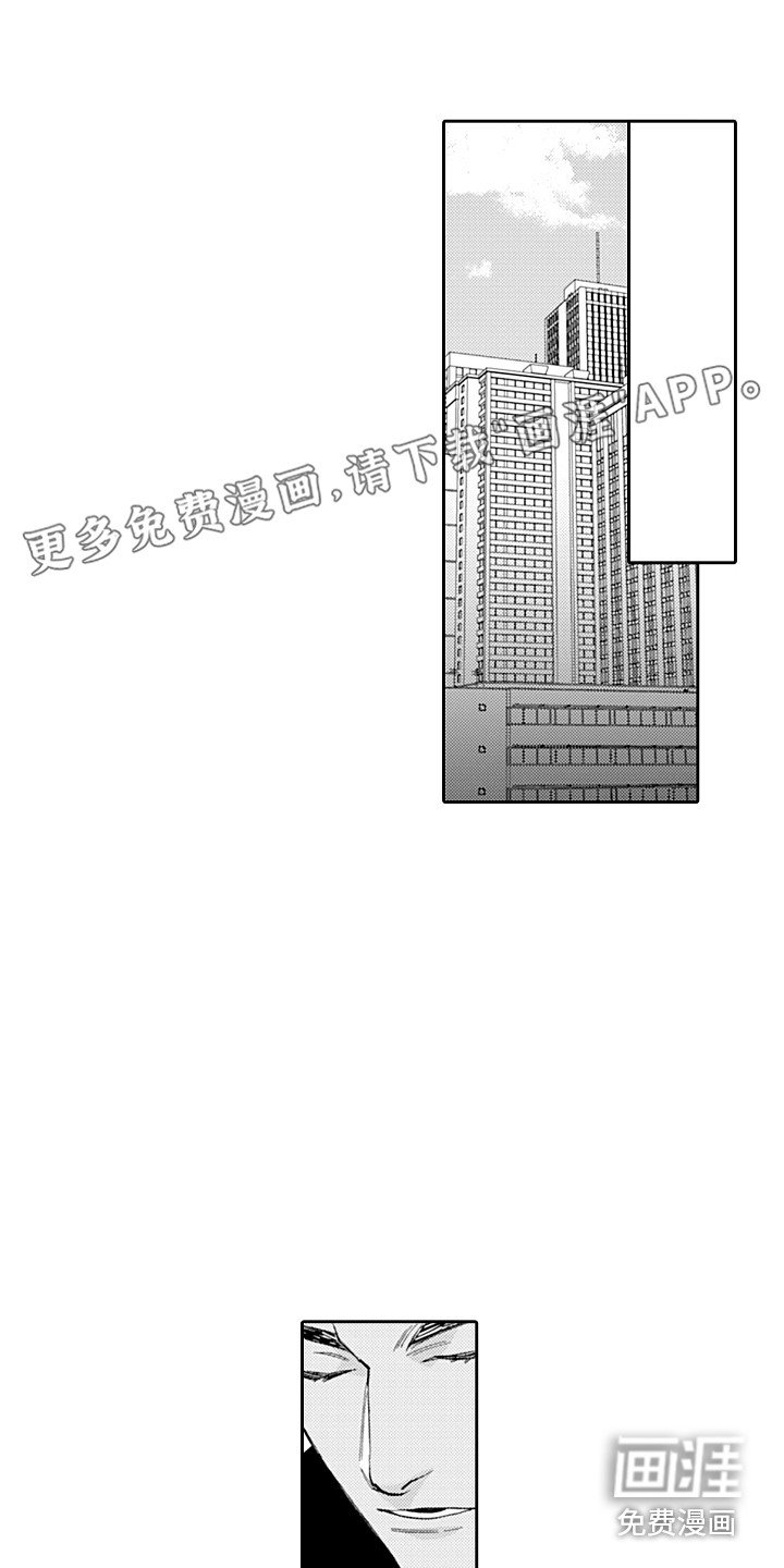 第19章：开会