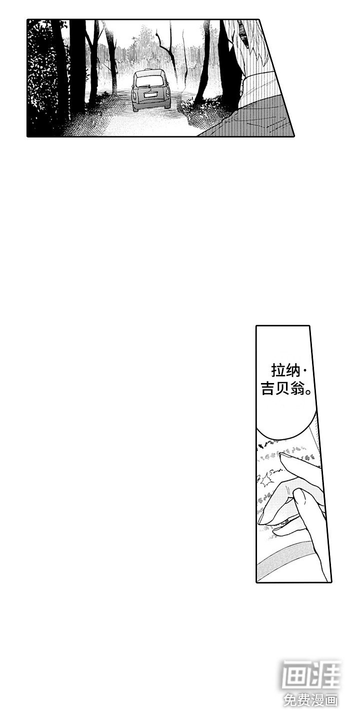 第20章：负责 