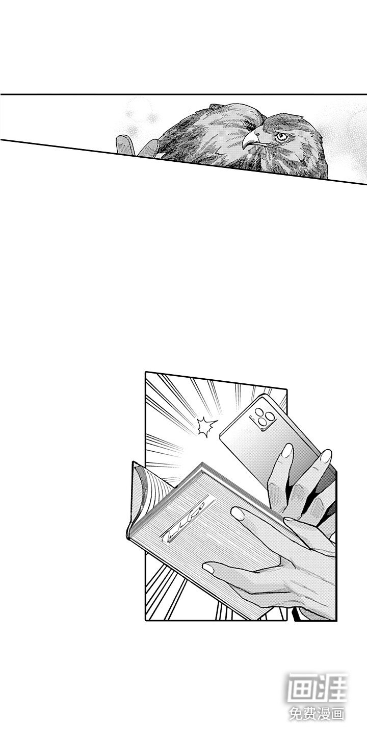 第20章：负责 