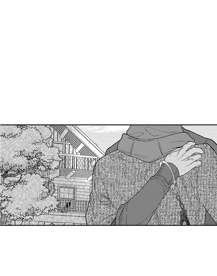 第21章：解释 