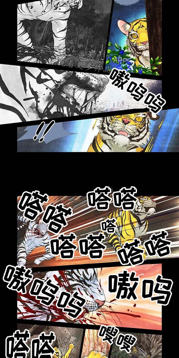 第12章：领地