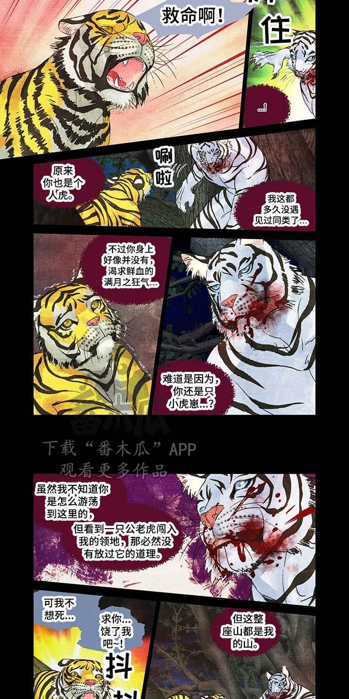 第12章：领地