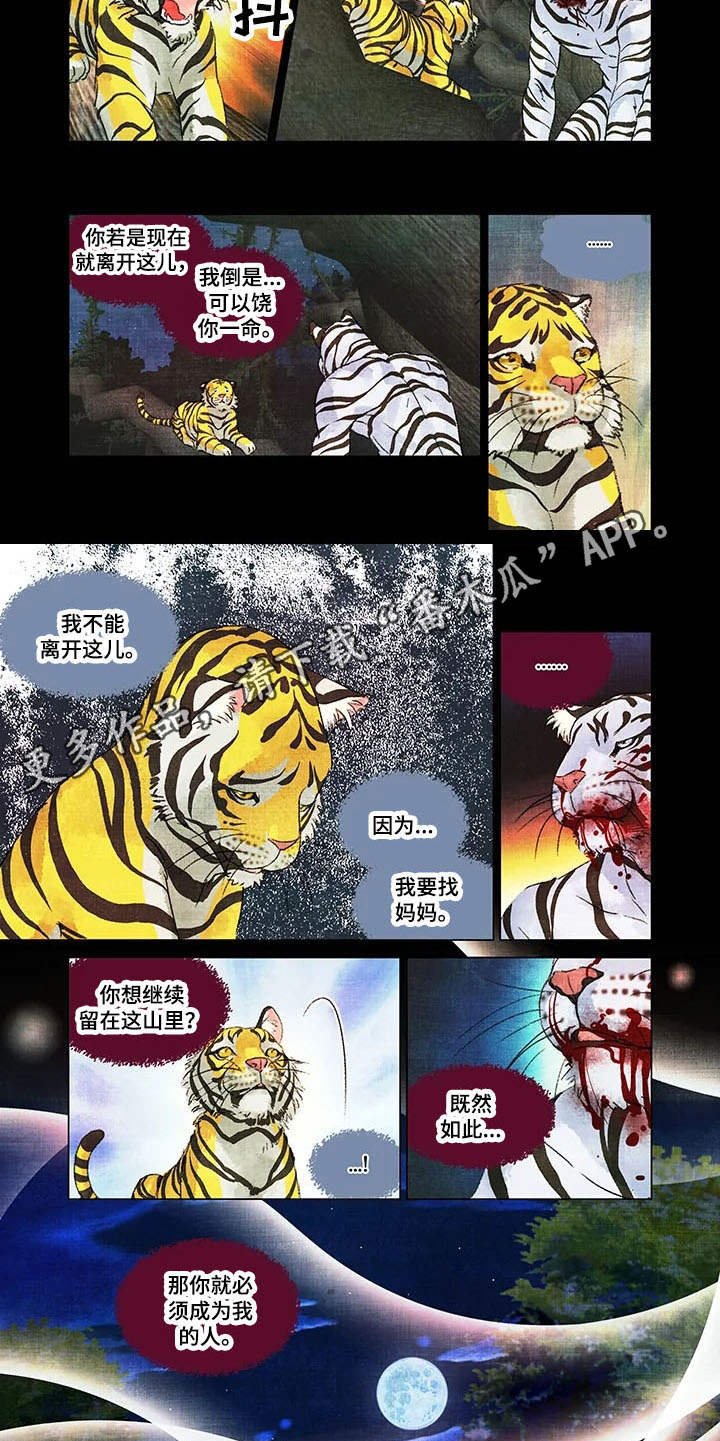 第12章：领地