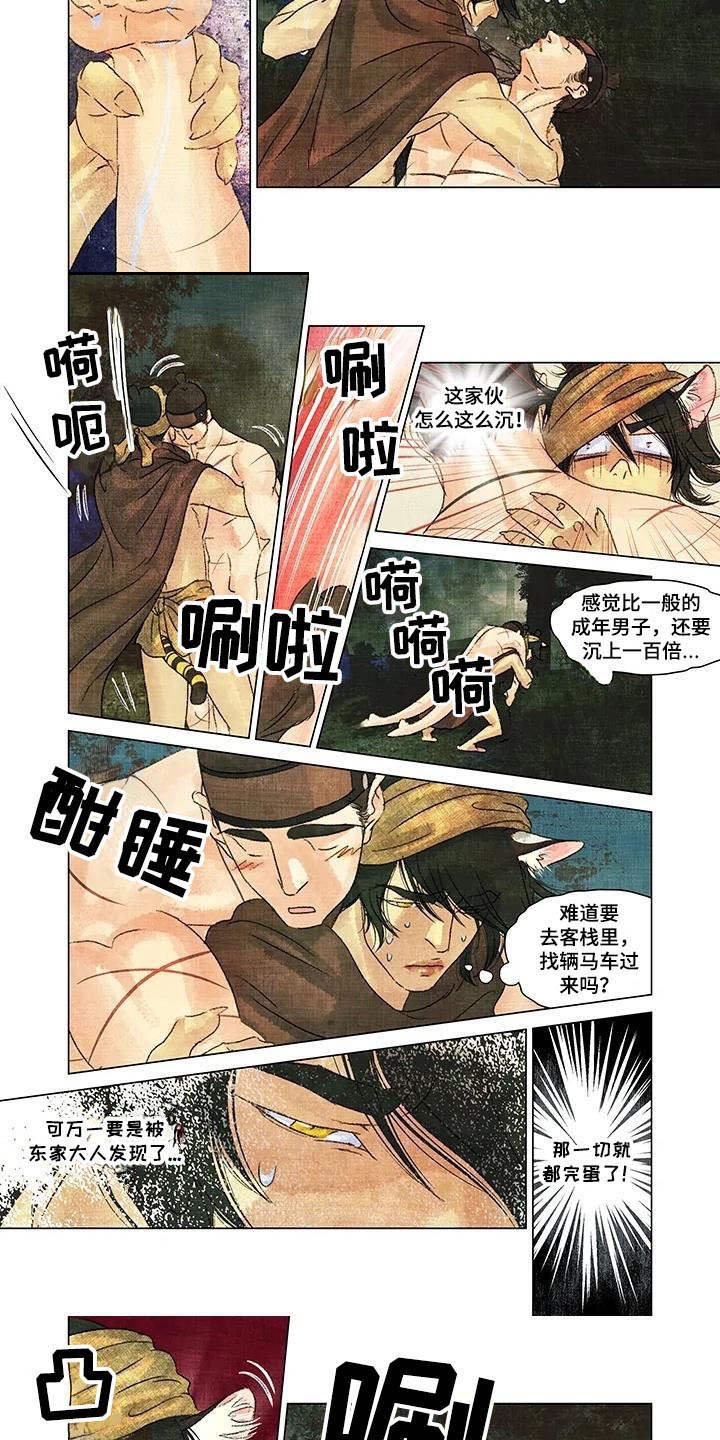 第17章：躲避