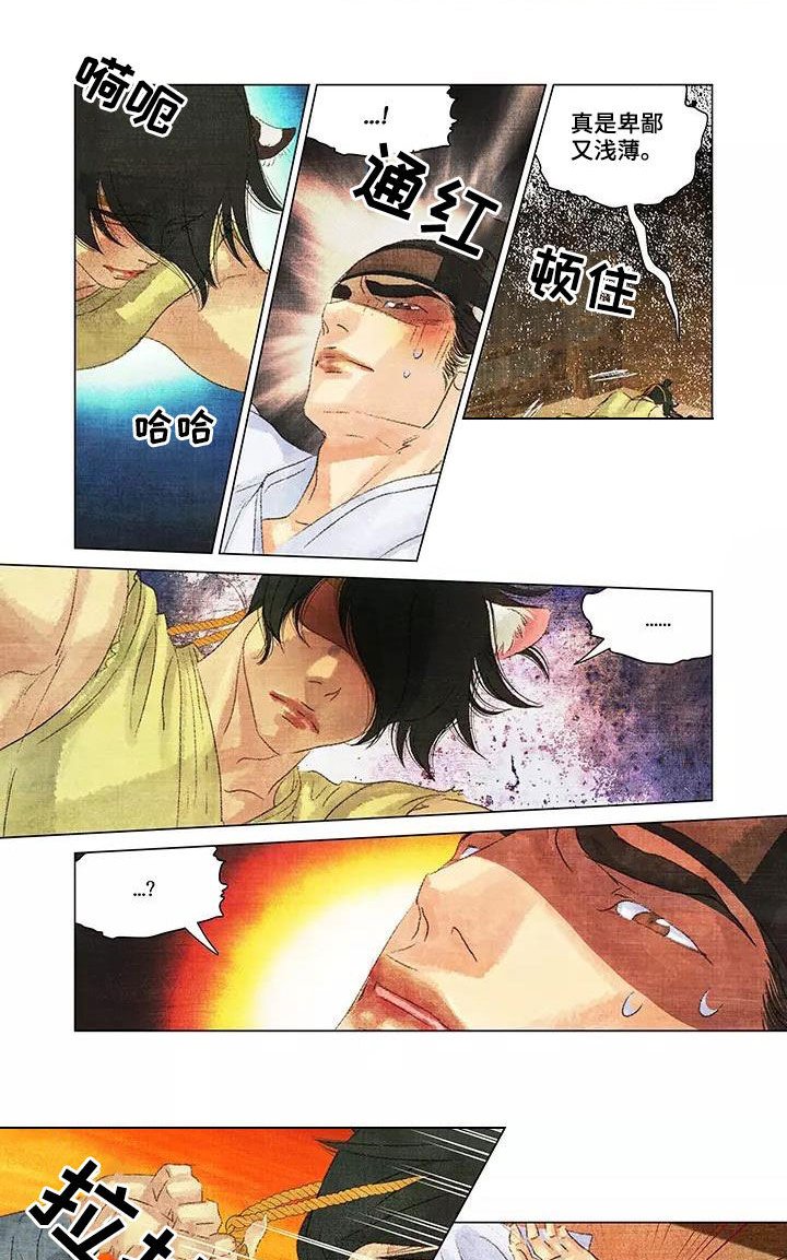 第37章：耀眼的光