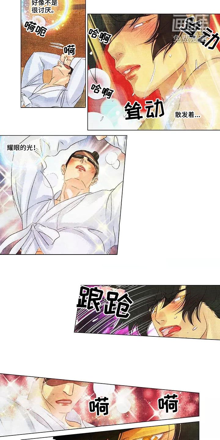 第37章：耀眼的光