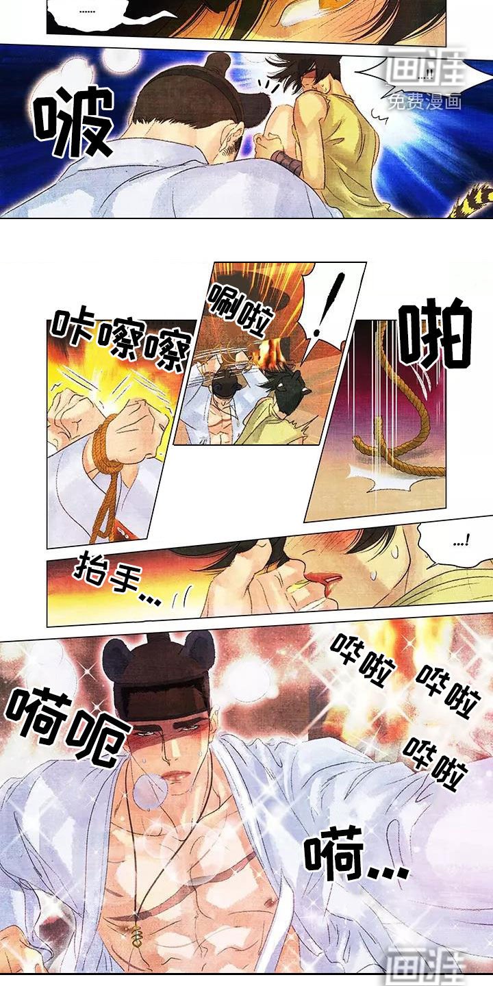 第37章：耀眼的光