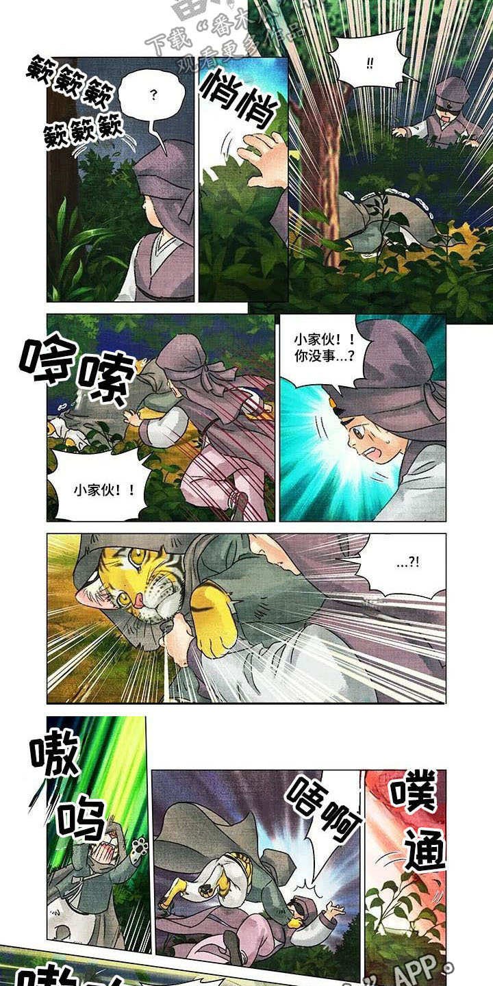 第4章：小虎崽