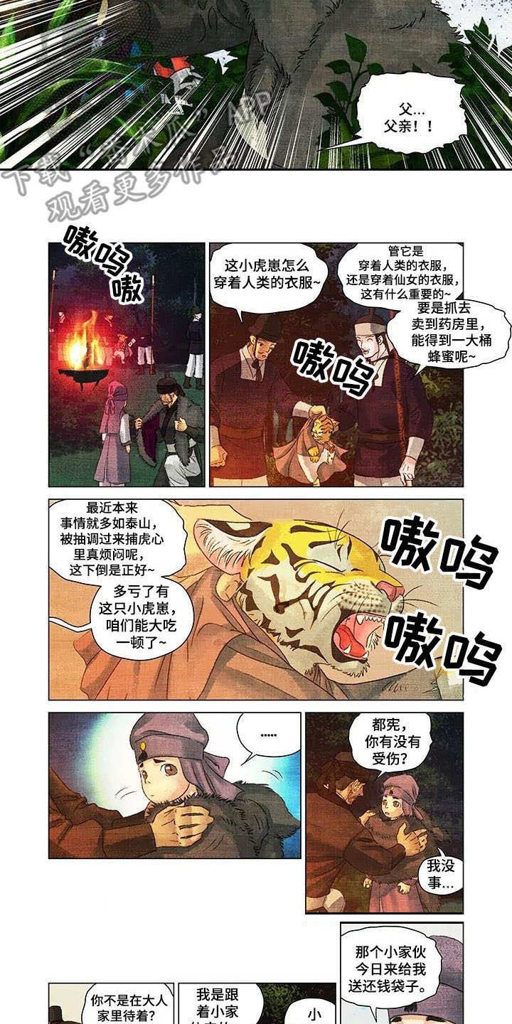 第4章：小虎崽