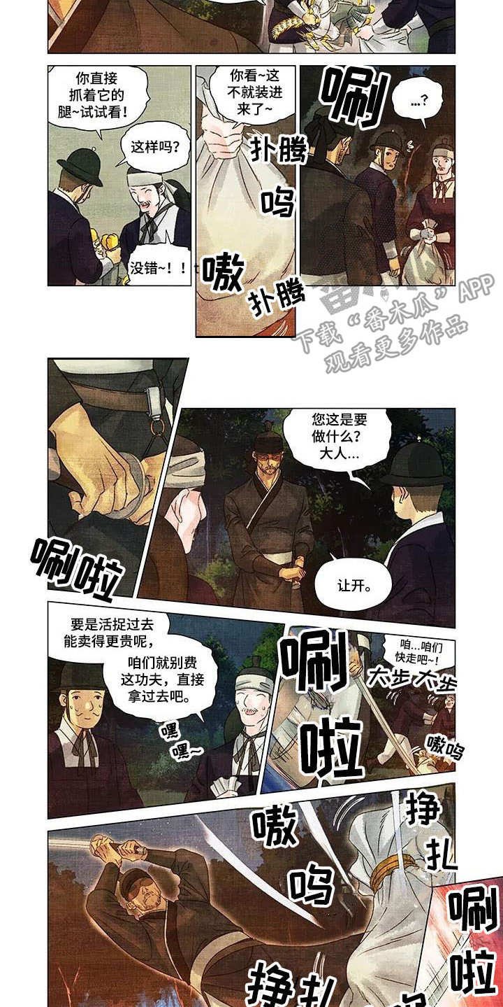 第4章：小虎崽