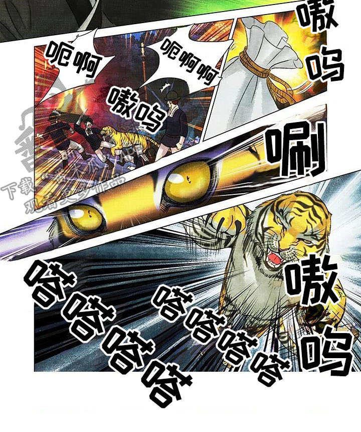 第4章：小虎崽