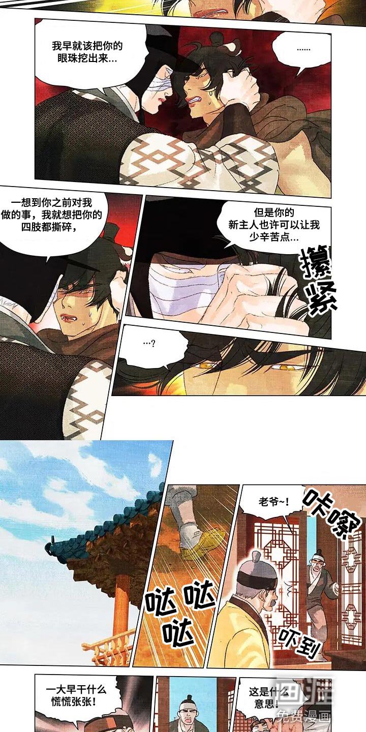 第50章：帽子