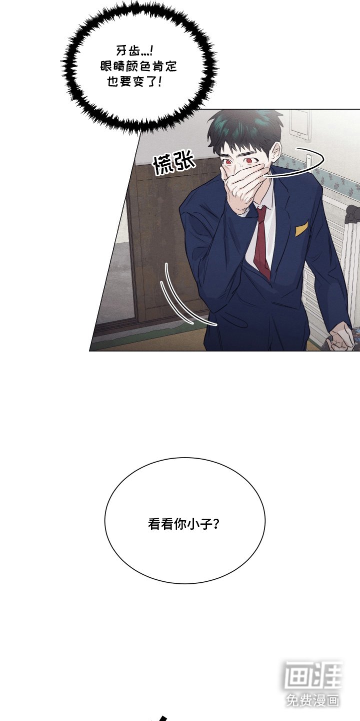 第15章：一半血统
