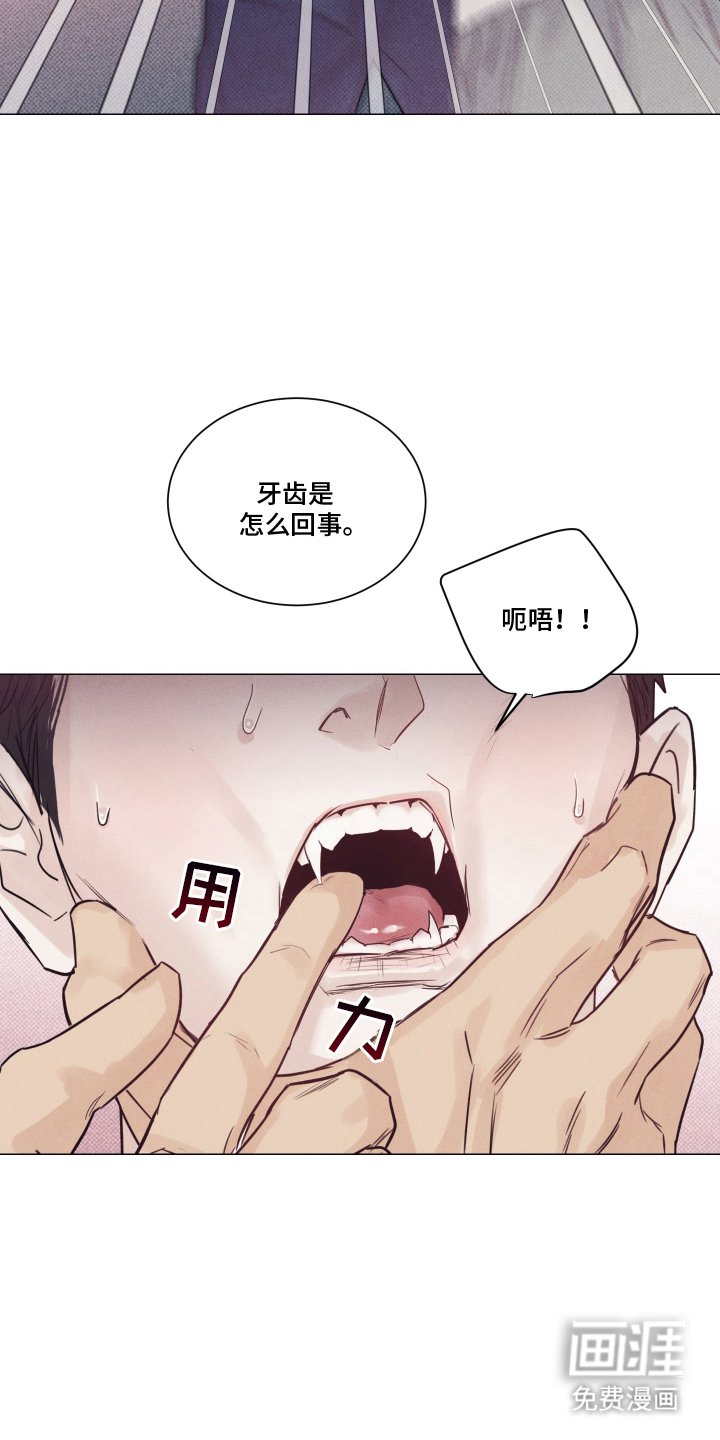 第15章：一半血统