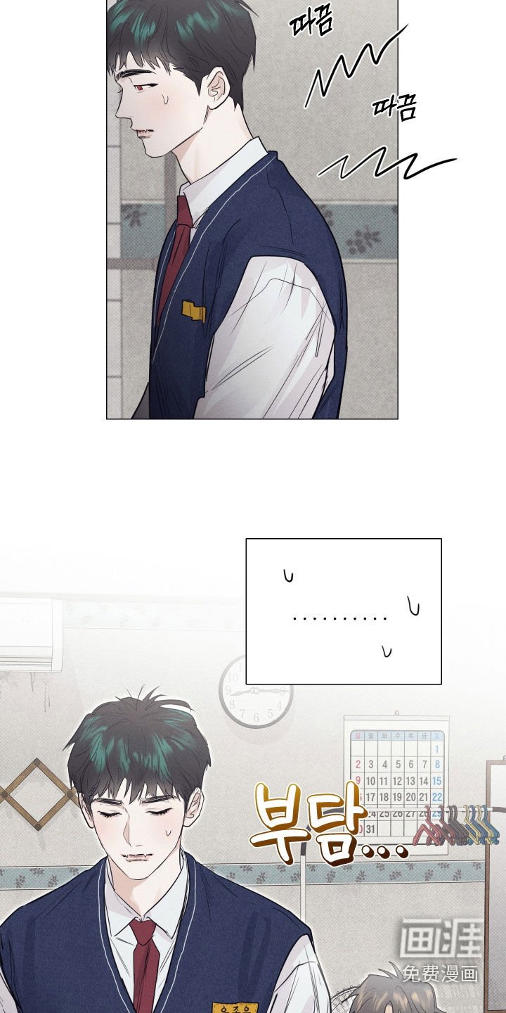 第16章：解释