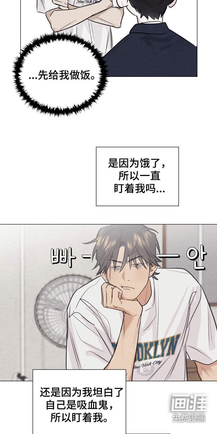 第16章：解释