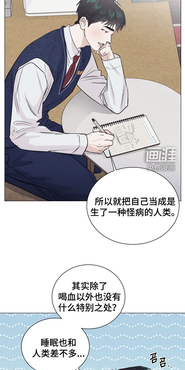 第16章：解释