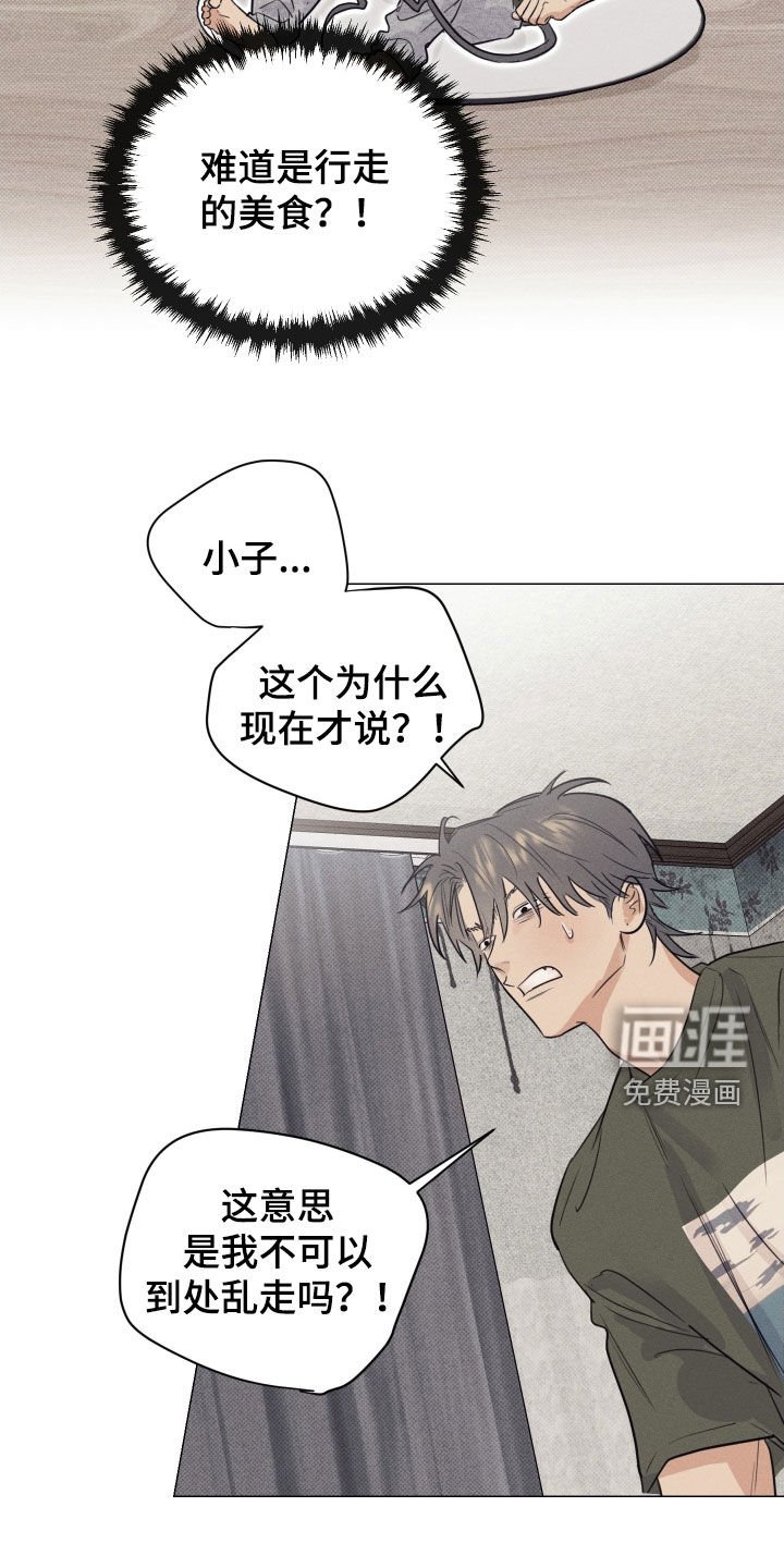 第21章：行走的美食