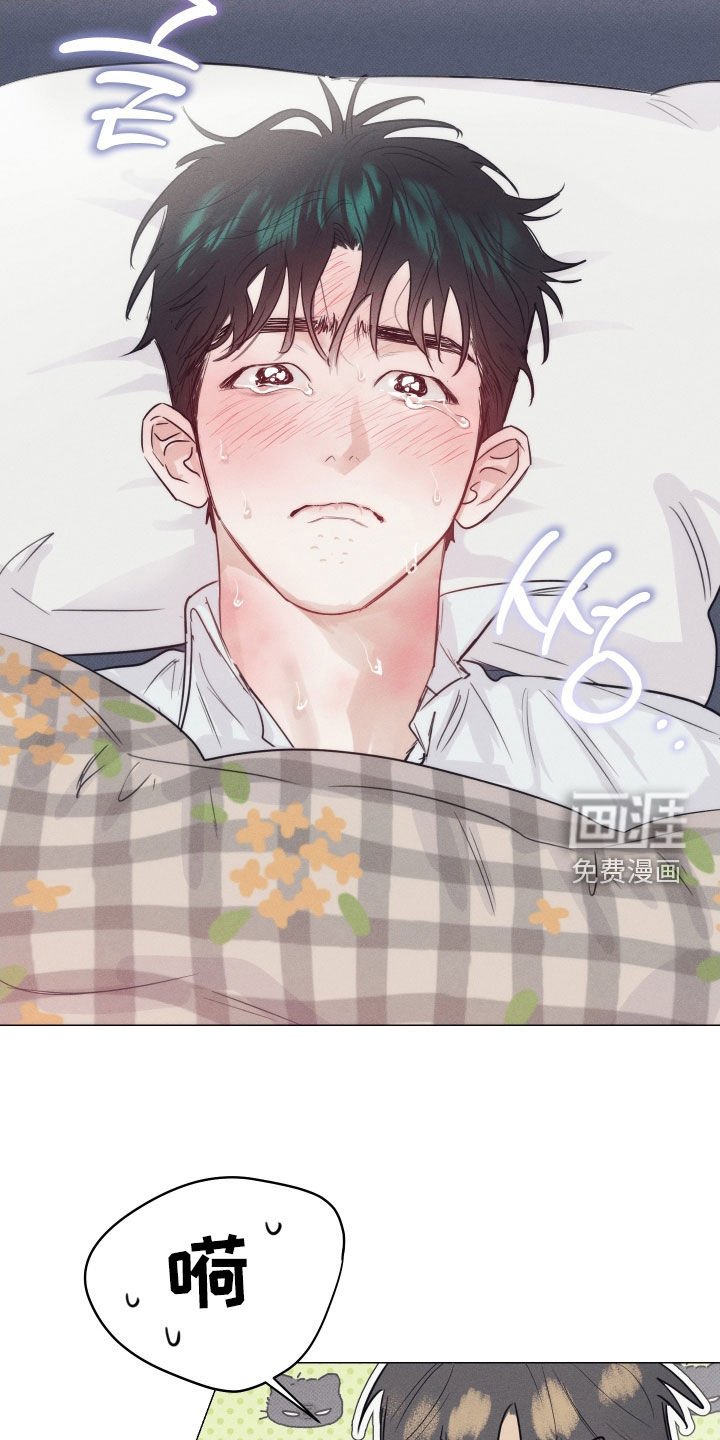 第31章：生长痛