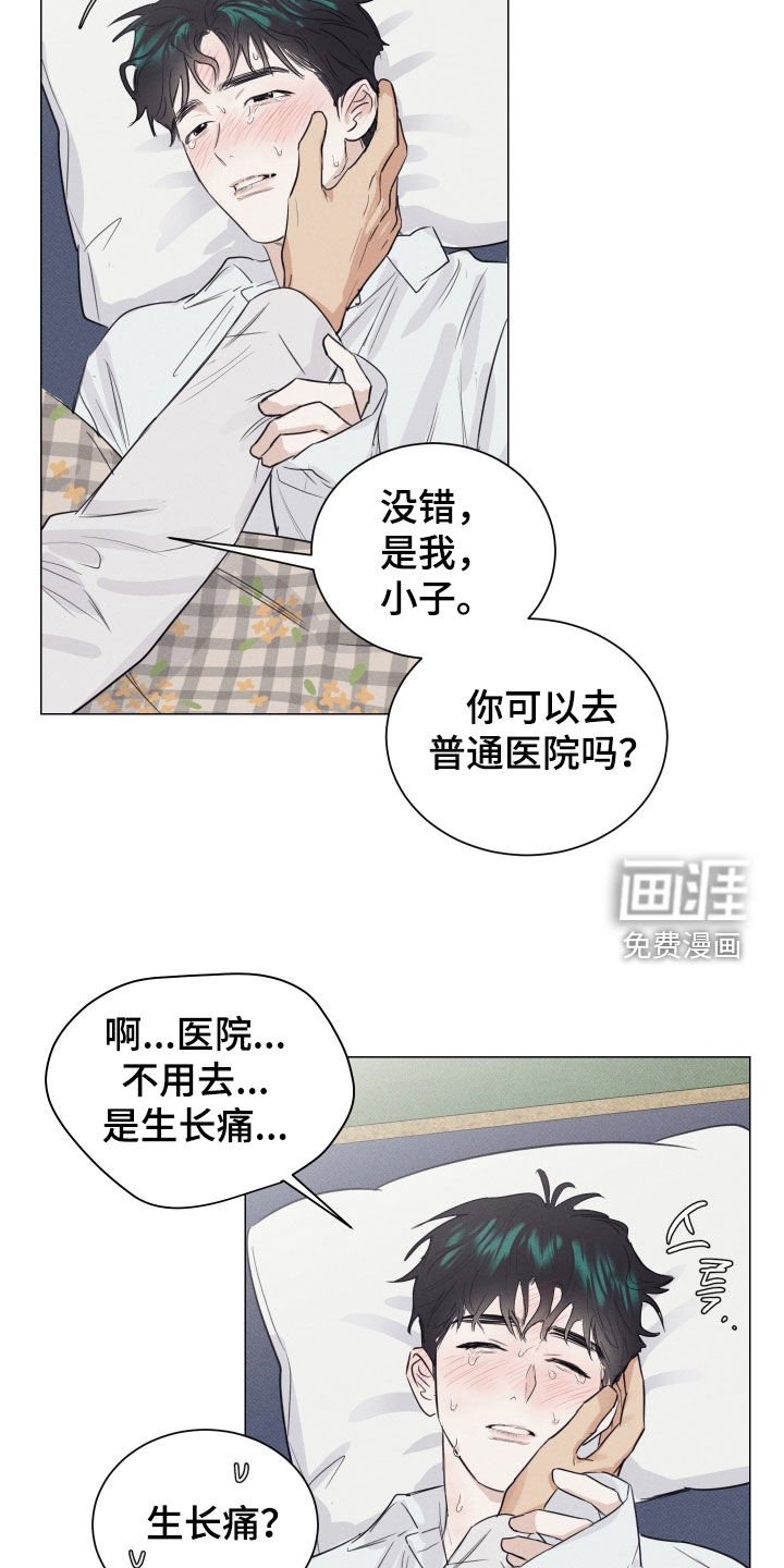 第31章：生长痛