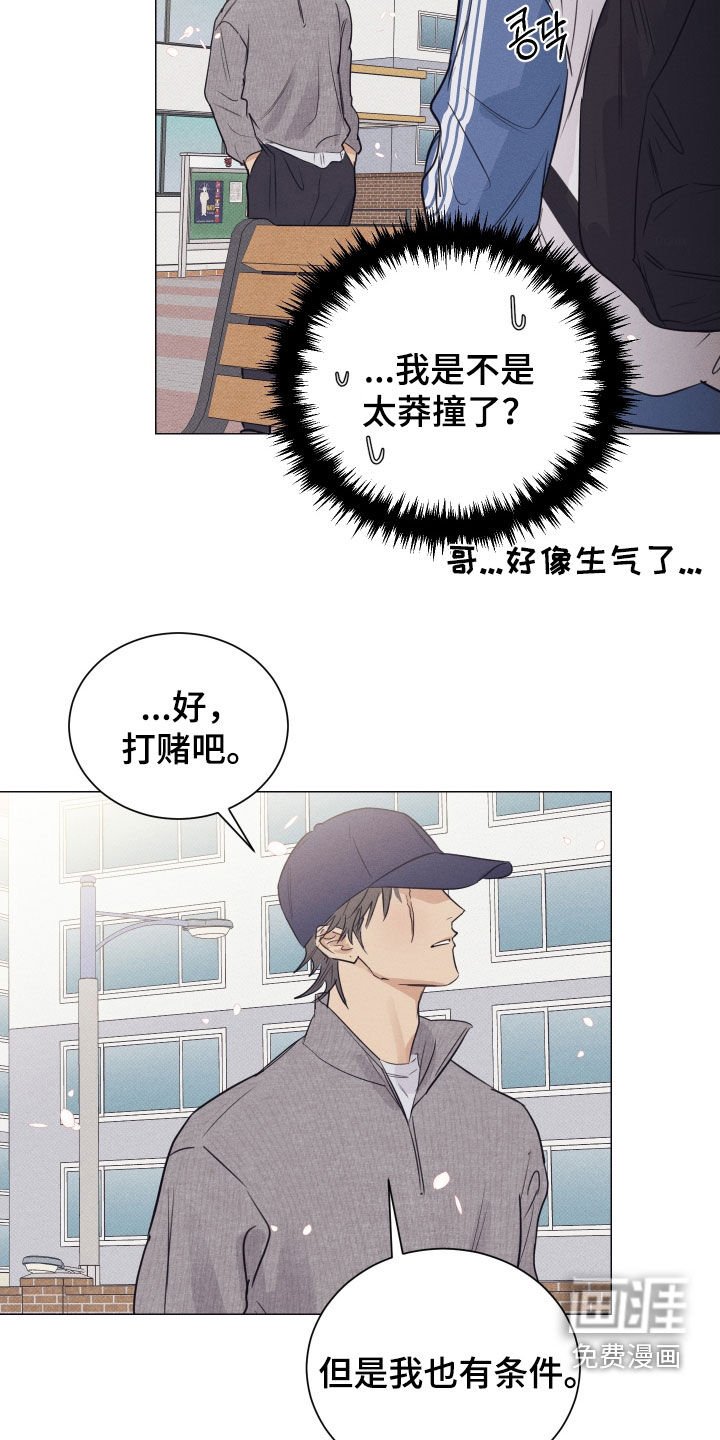 第33章：打赌