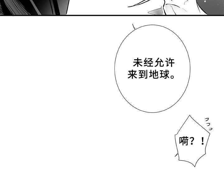第2章：不是梦