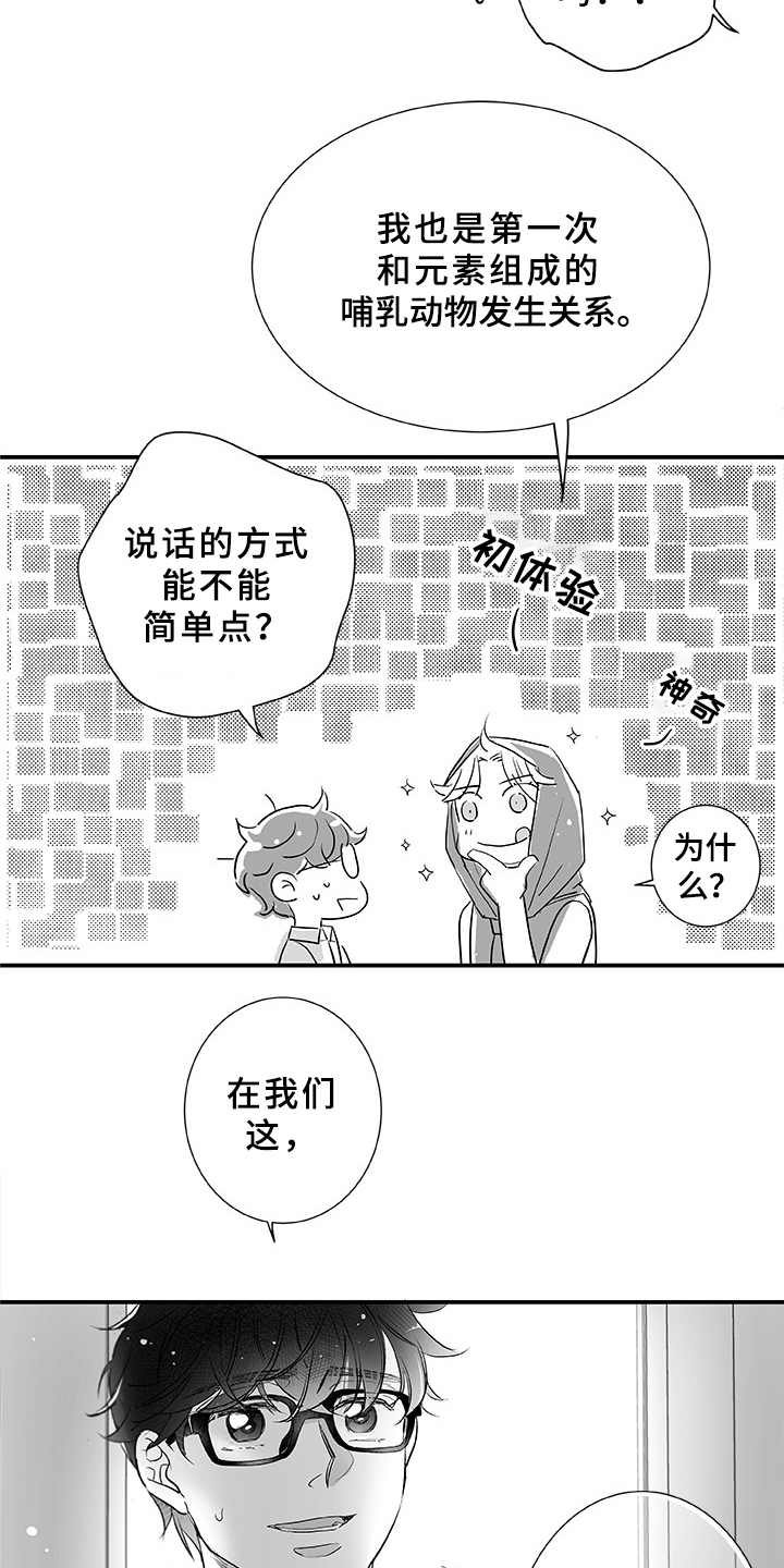 第3章：命中之星