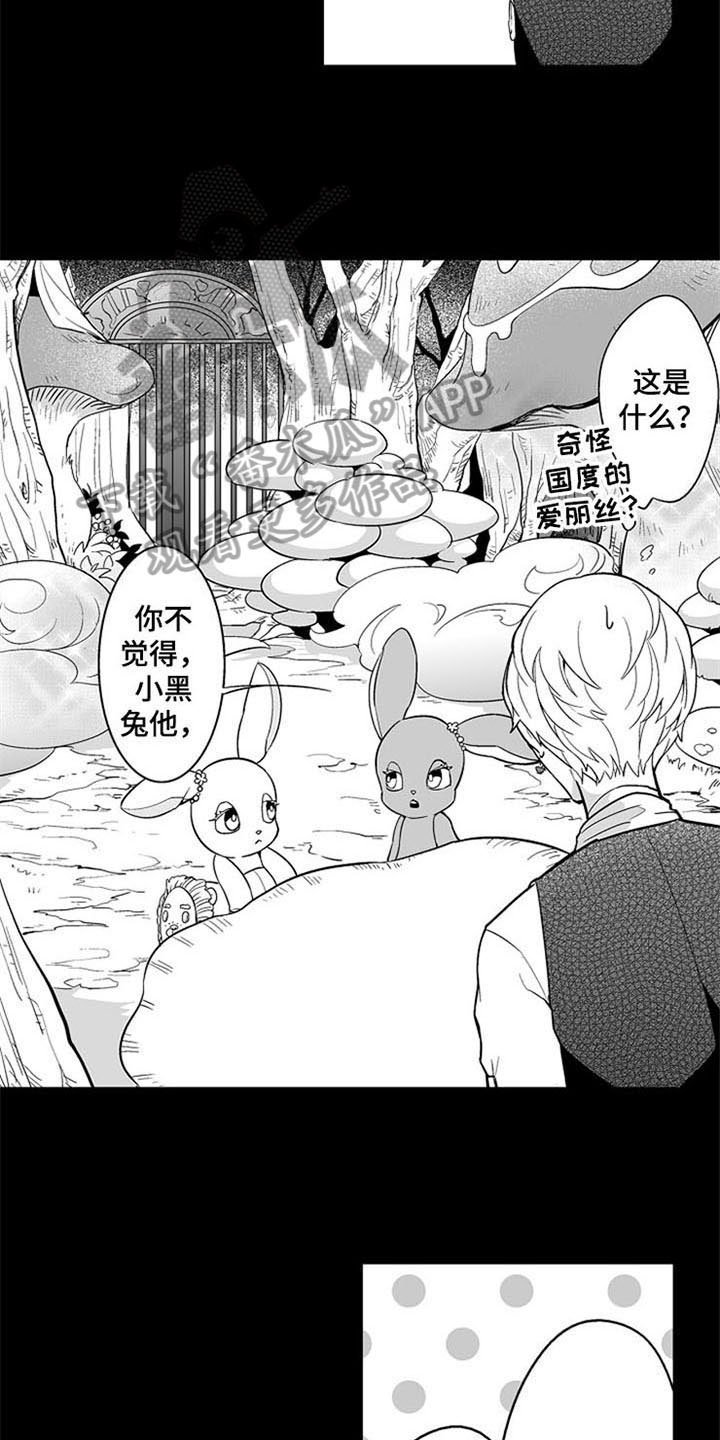 第10章：无法答复