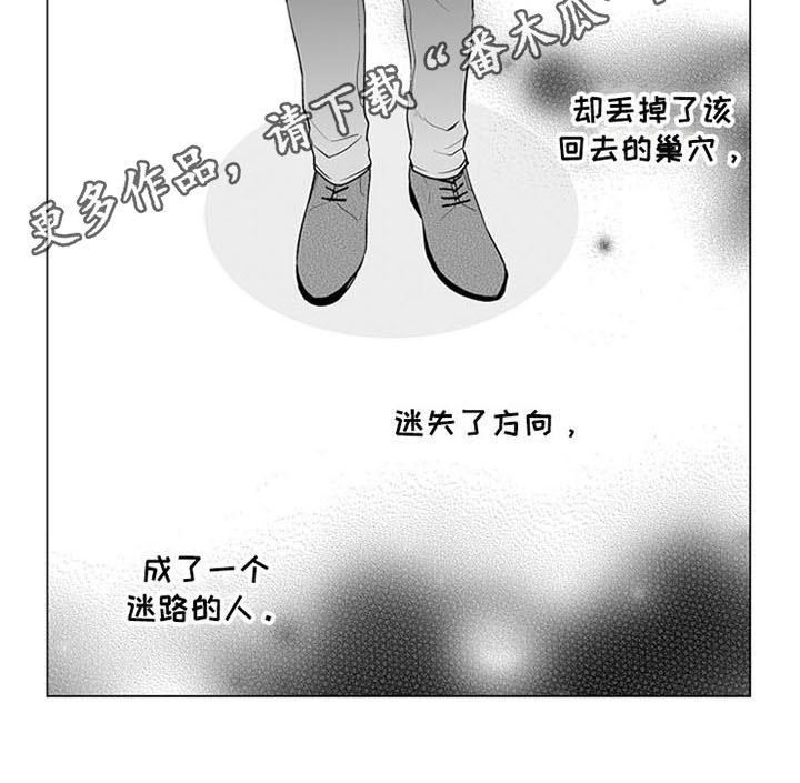 第12章：逃离