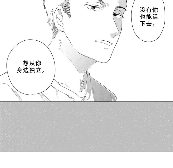 第13章：独立