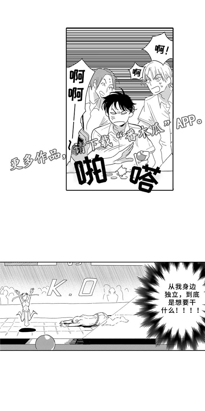 第13章：独立