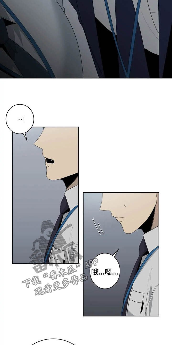 第15章：坐实