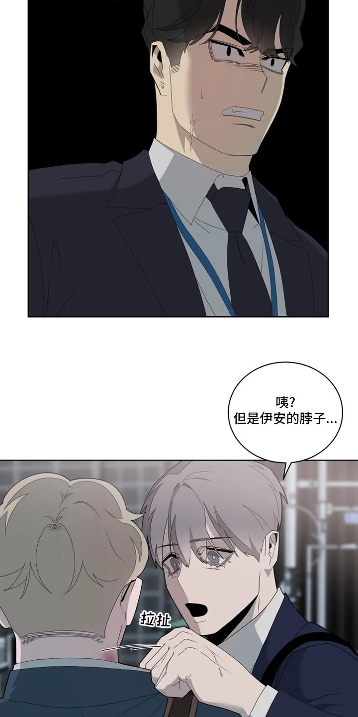 第19章：味道