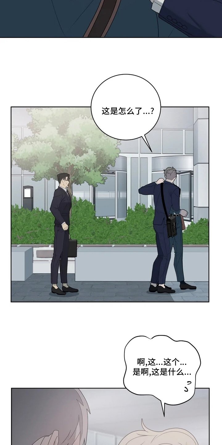 第19章：味道