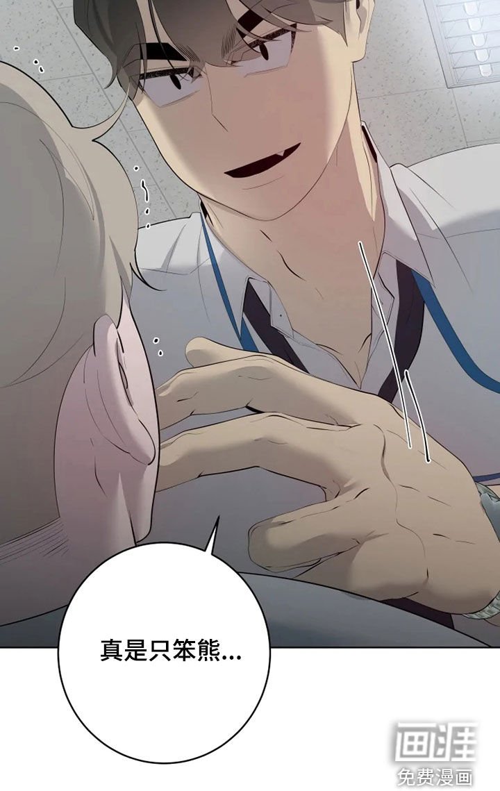 第39章：不适应
