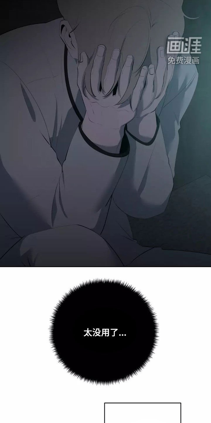 第43章：不再是一个人