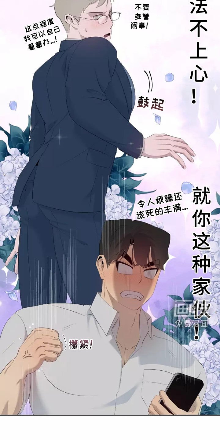 第49章：照片