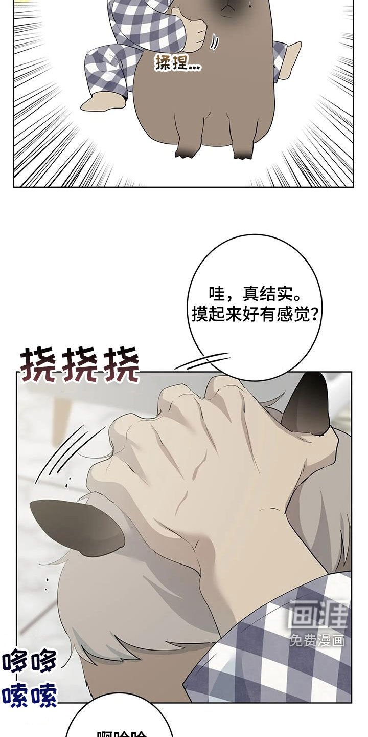 第71章：【第二季】变身