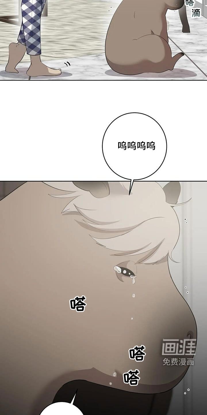 第71章：【第二季】变身