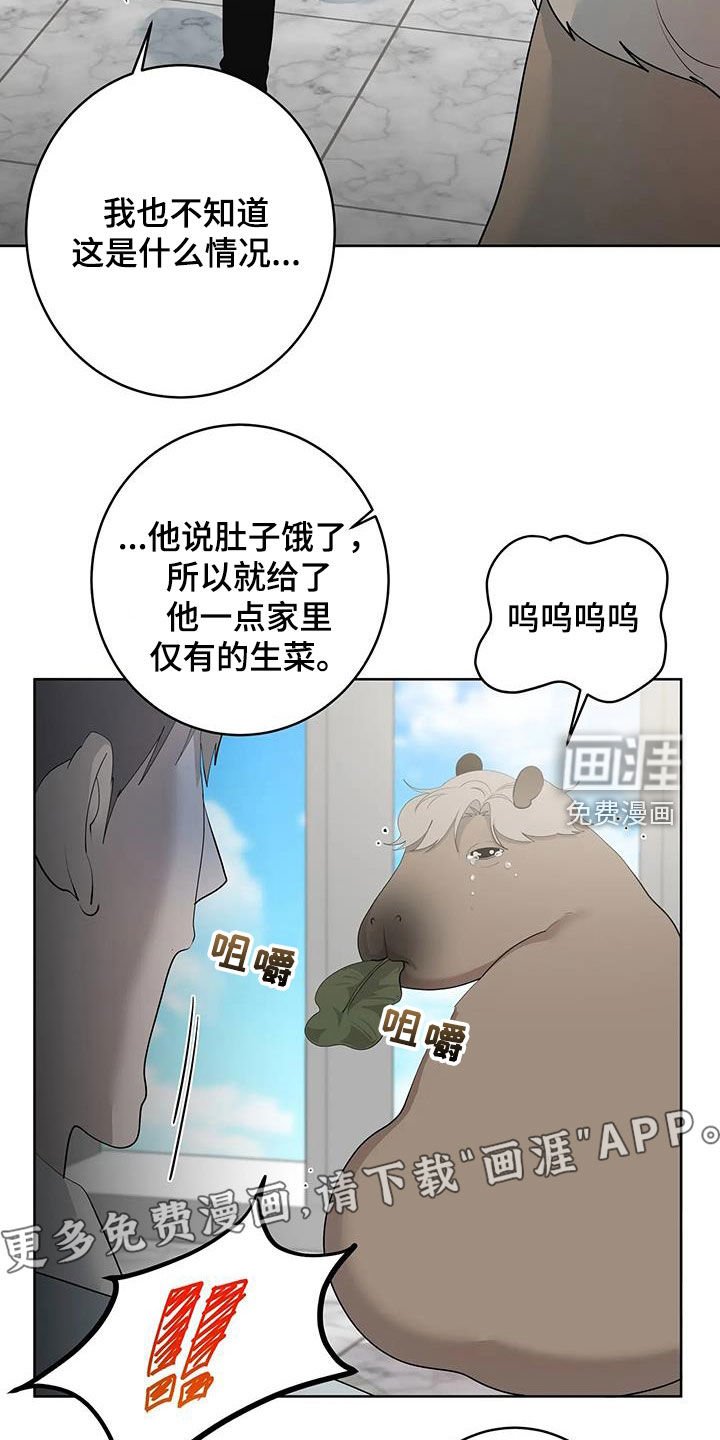 第72章：【第二季】是梦