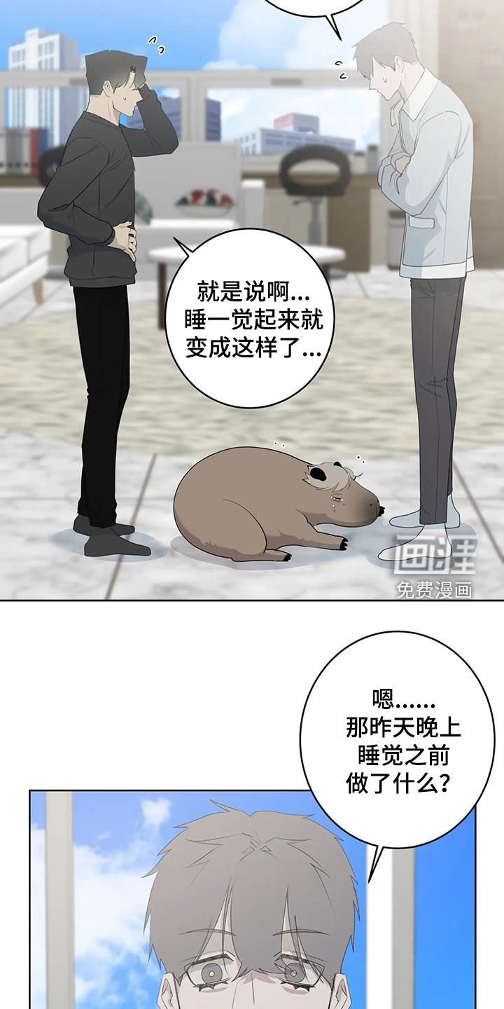 第72章：【第二季】是梦